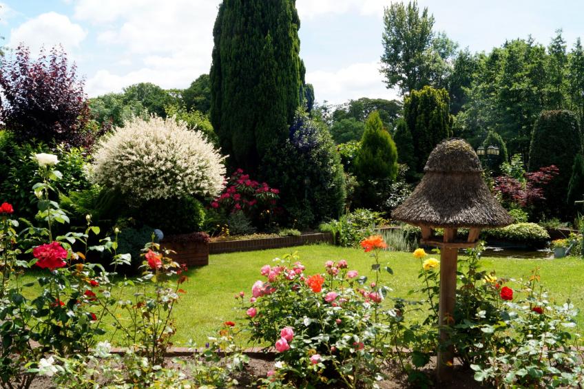 in Marienhafe - foto 15