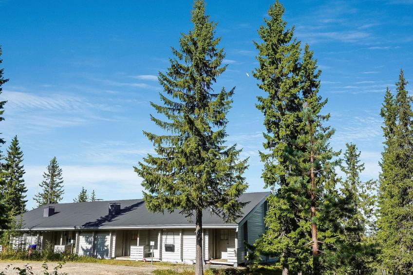 Lupposyöte b1 - foto 7