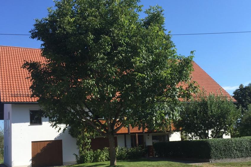 mit Garten im schönen Tannheim - foto 2