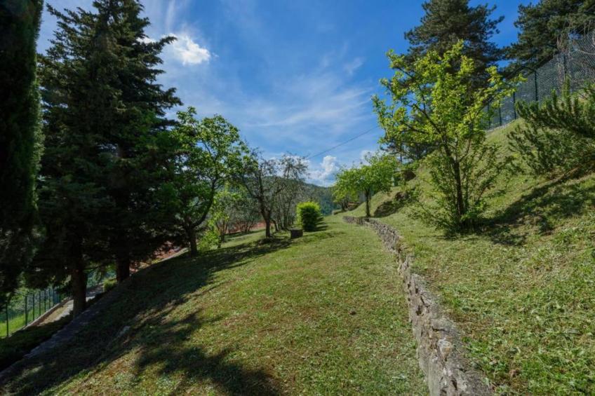 Canaiolo - foto 29