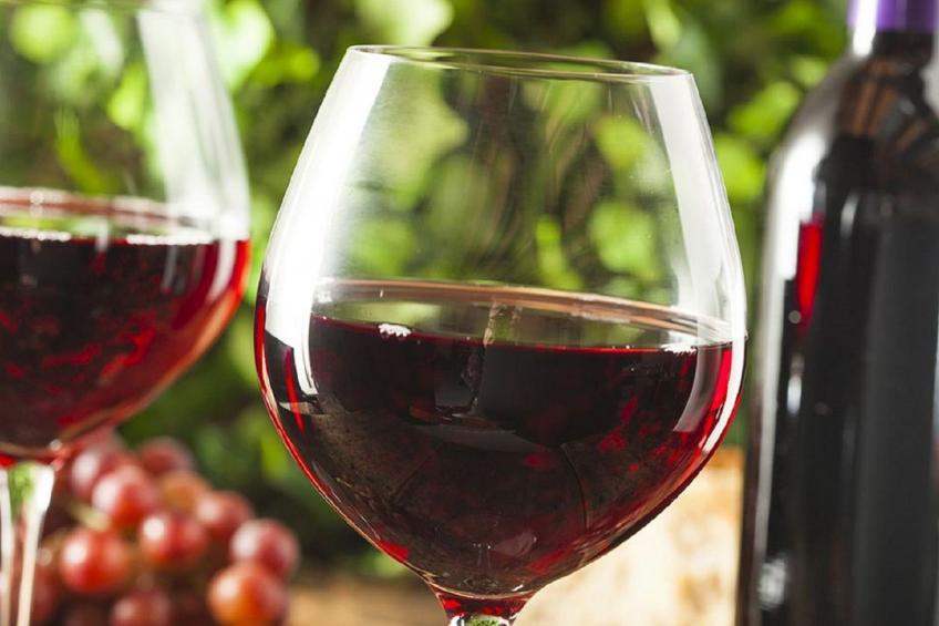 mit Garten und Pool - foto 23