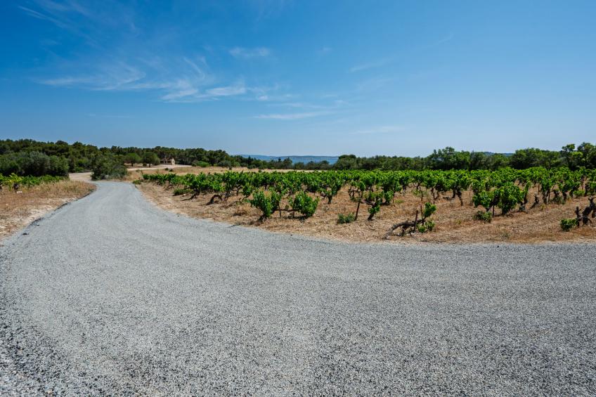 Mas de Caussagues - foto 22