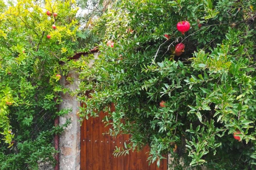 Villa Barone Landhaus mit Pool - foto 23