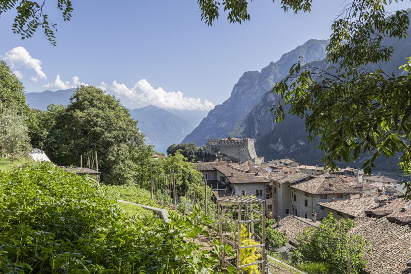 Il Nido dell'Artista - foto 24