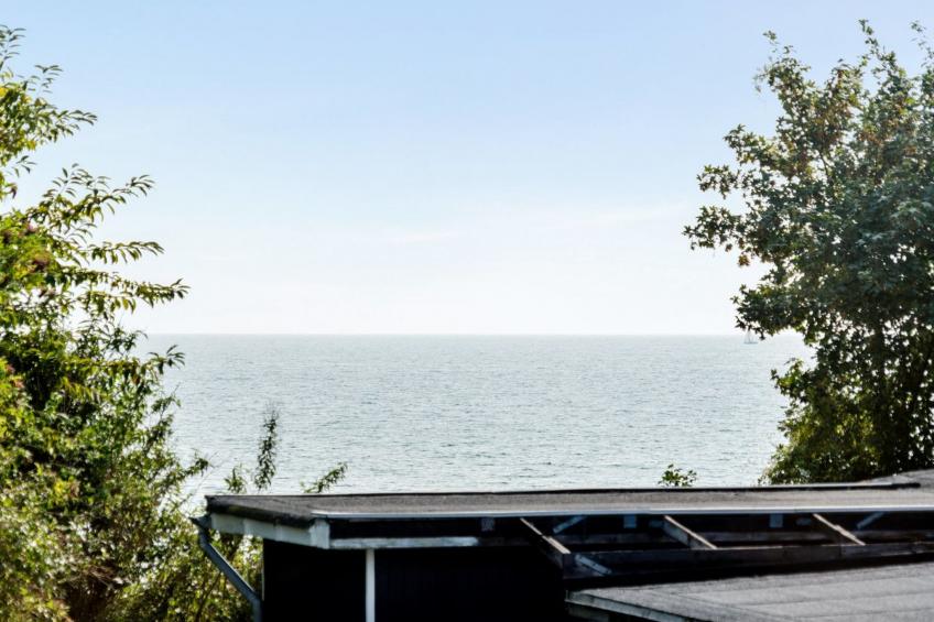 "Ilkka" - 175m from the sea in Sealand - foto 28