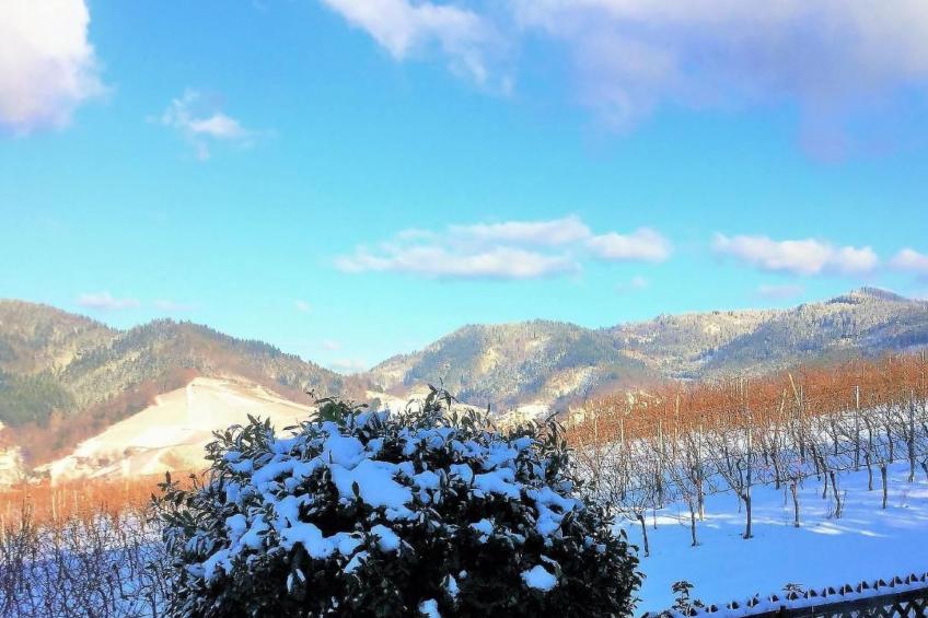 Traumwohnung - foto 71