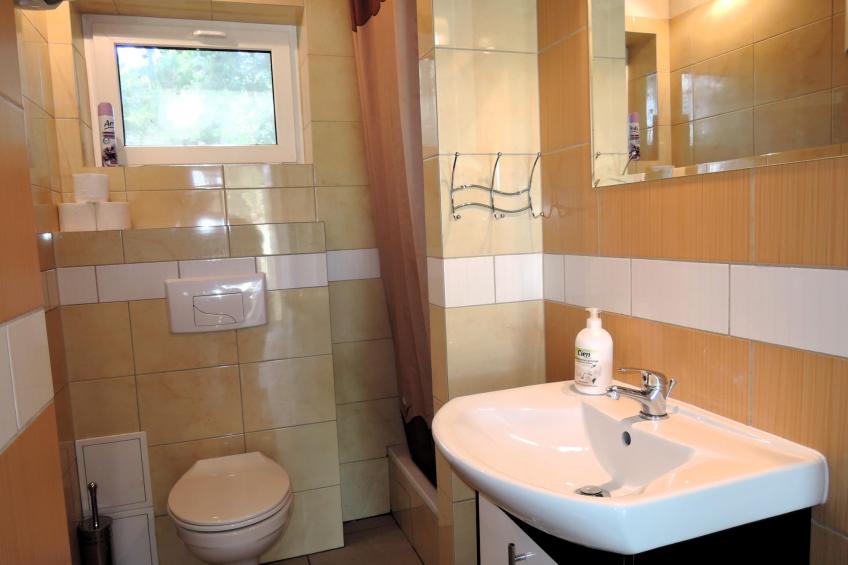 Agri-tourism , Jezierzyce - Type B - foto 6