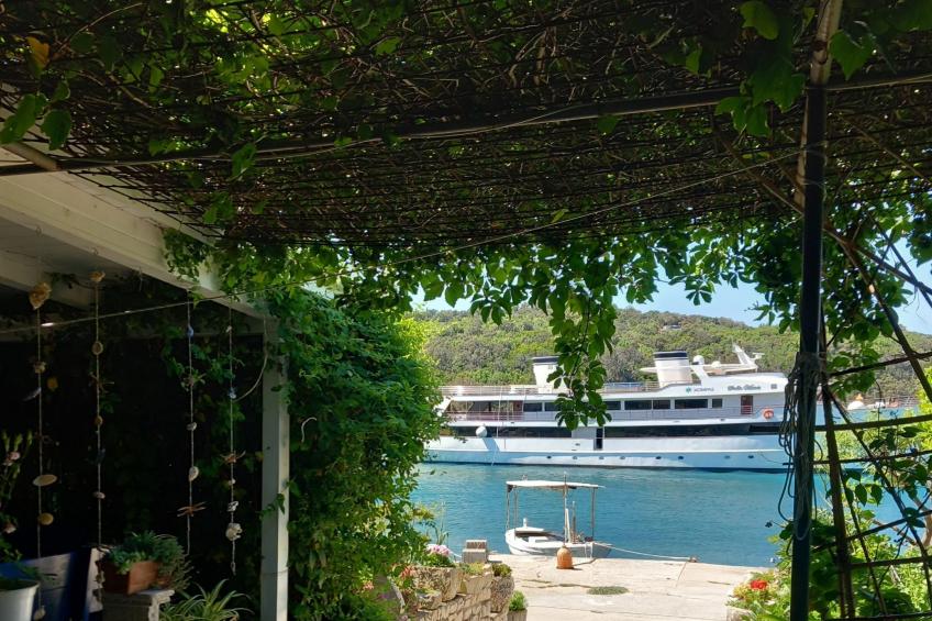 Guest House Green Corner Supetarska Draga - One Bedroom Apartment With Balcony and Sea View - foto 22