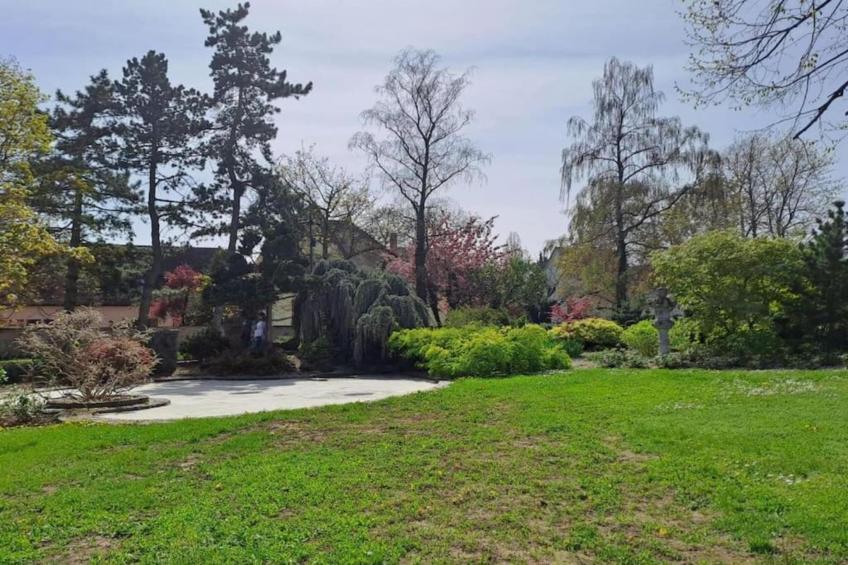 Le Domaine des Rois - foto 30