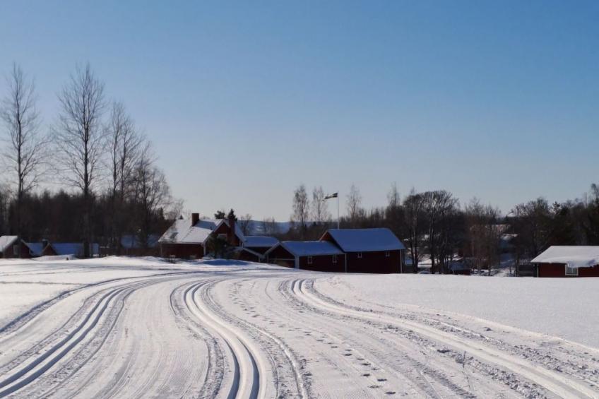 Hjortgården Stuga - foto 30