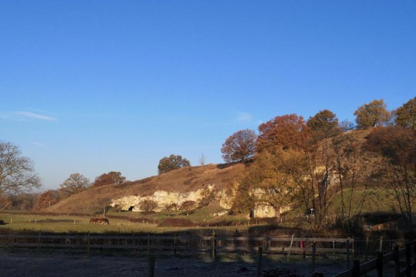 Ravenbosch - Fireplace & Garden Shed - foto 24