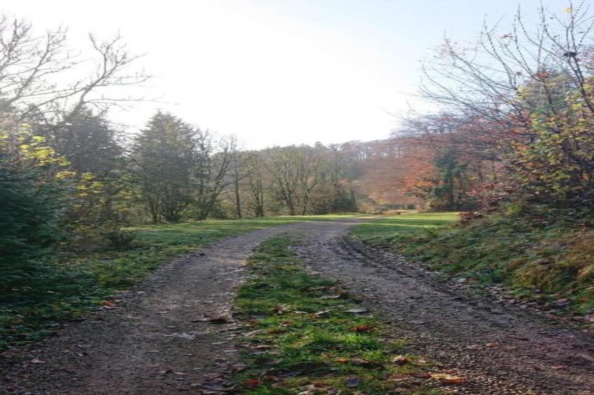 Feriendorf Reinskopf - foto 20