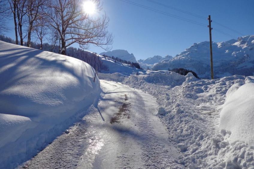 Bauernhof obere Fraumatt - foto 13