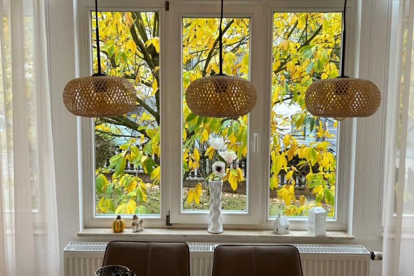 Fewo Fröhlich - foto 10