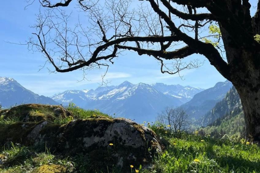 House in the Clouds - foto 60