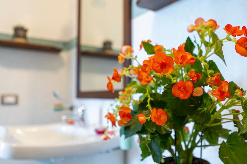 Wohnung 'Girasole' mit Schwimmbad - foto 10