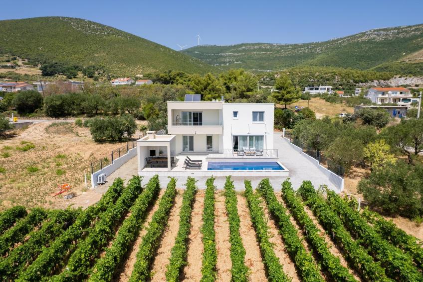 VILLA VISTA VINEA - foto 6