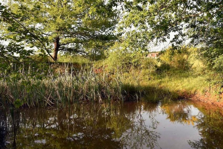 Domäne "Domaine de Ravel" - foto 34