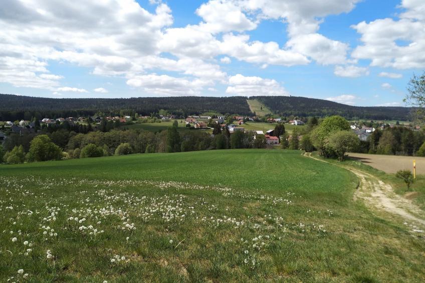 Fichtelzauber mit Sauna - foto 26