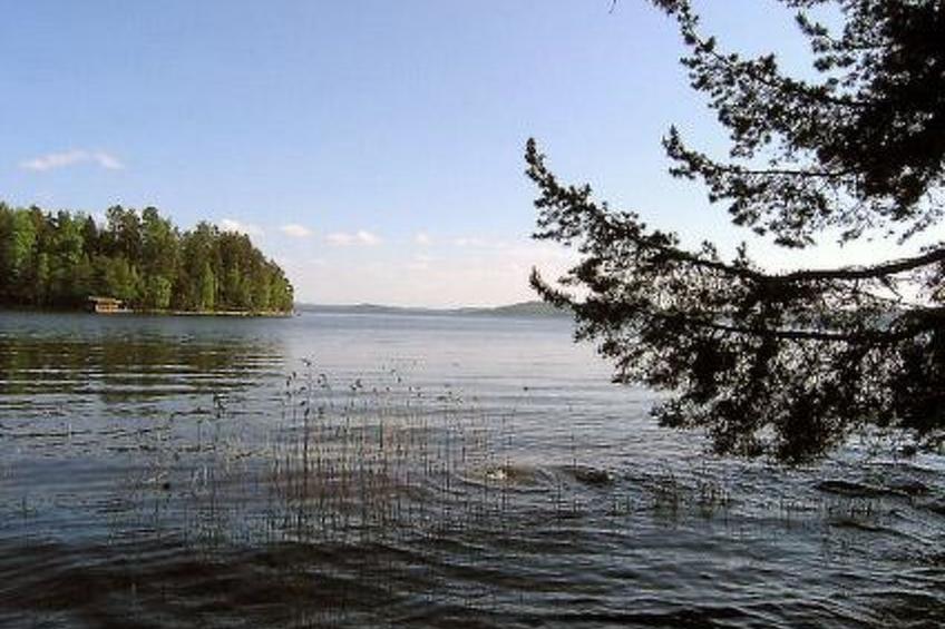 Hannala - foto 41