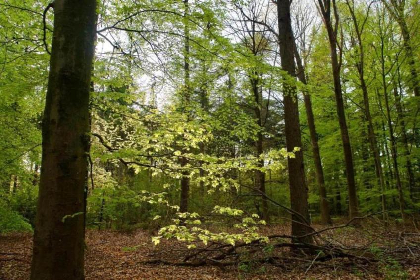 4-persoons bungalow Sondel 16 - foto 18