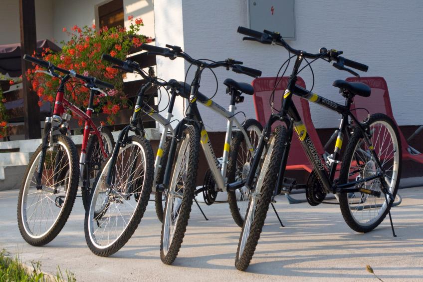 mit Garten, Grill und Terrasse - foto 8