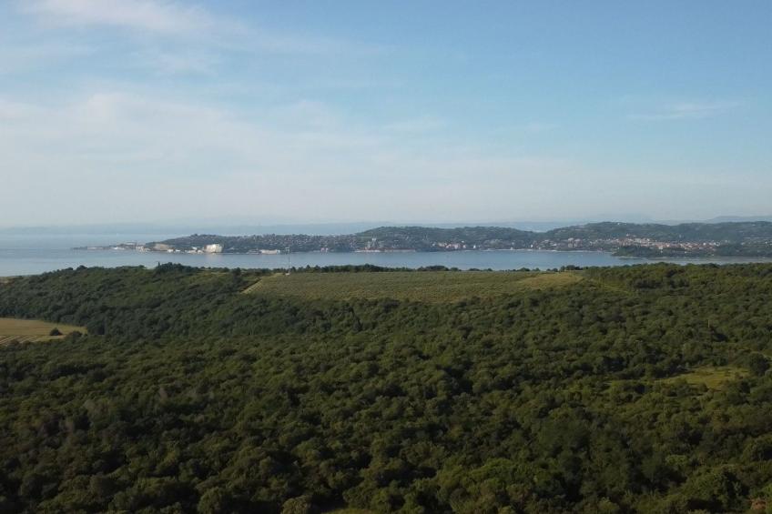 Zweizimmerwohnung mit großer Terrasse in Grupija bei Umag - foto 34