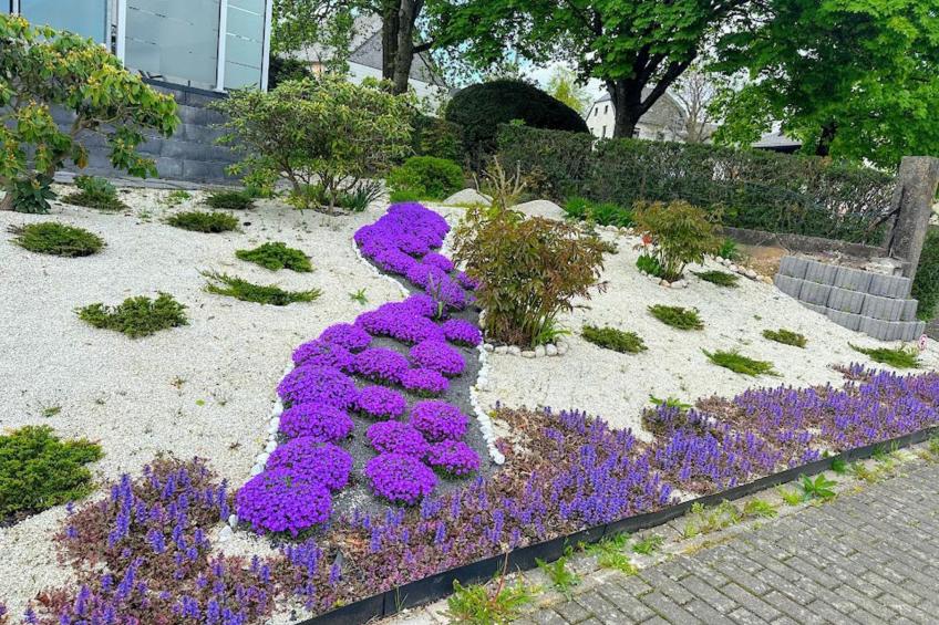 Wohnung zum Brunnen - foto 3