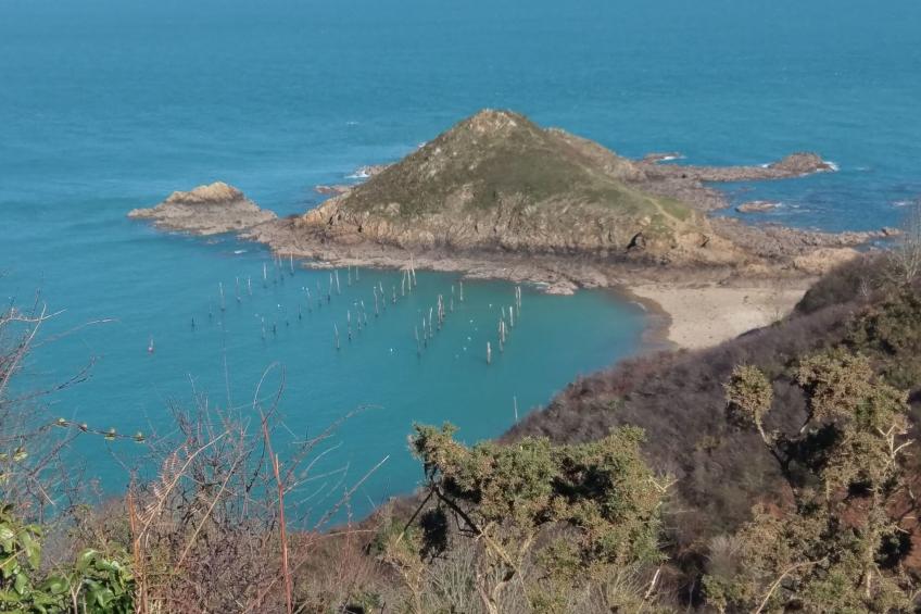 Komforthaus mit Traumgarten und Meerblick - foto 49