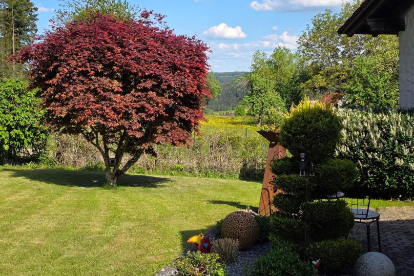 Schwarzwaldglück - foto 26