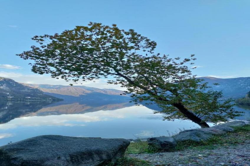 Alex Home 1 - foto 37