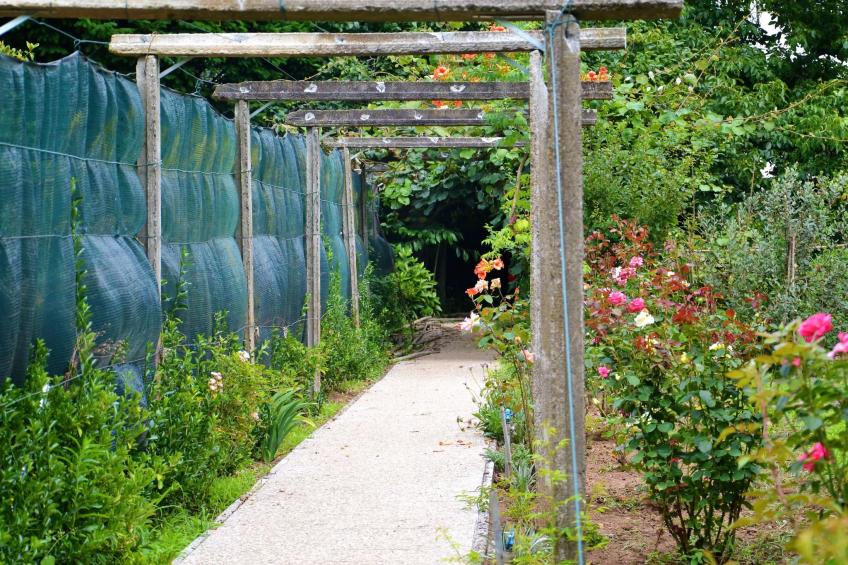 Quinta D'Avó Amélia, wunderschönes Landhaus zwischen den Bergen und dem Meer - foto 28
