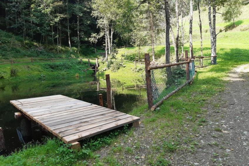 Teichhaus Simperle - foto 26