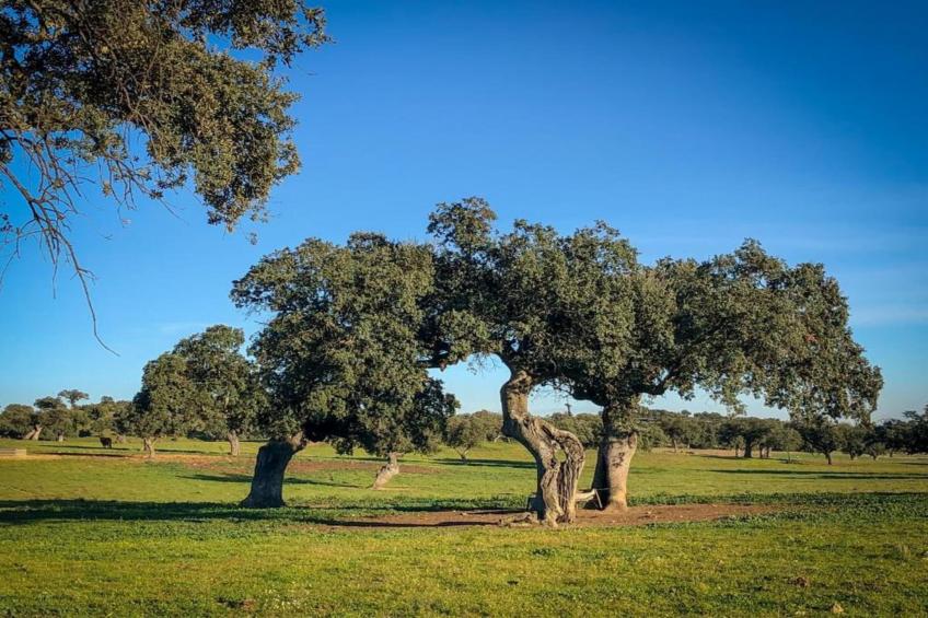 Villapark Ehzerburg 1 - foto 18