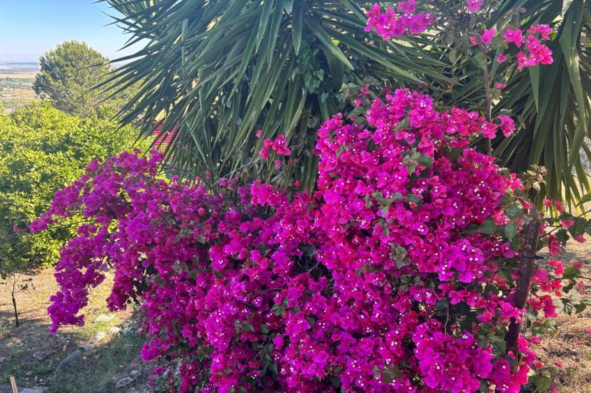 Casa Bellini 2 - foto 22