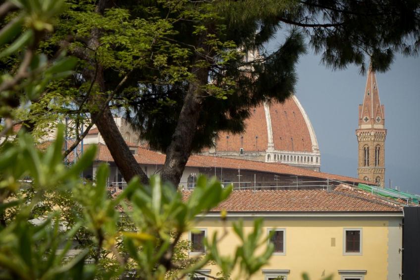 'Torrigiani - foto 37