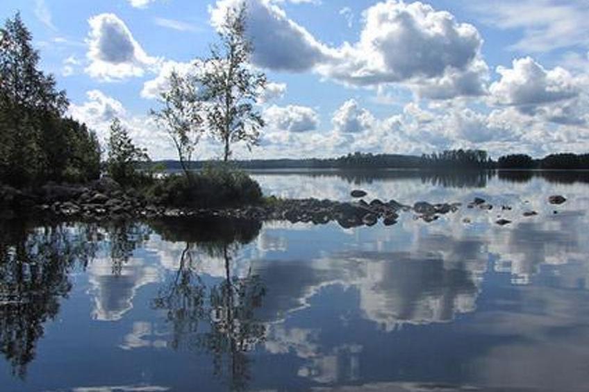 Kuikka - foto 7