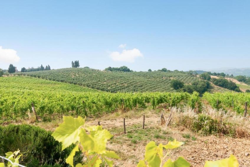 Casalini 2 - foto 38