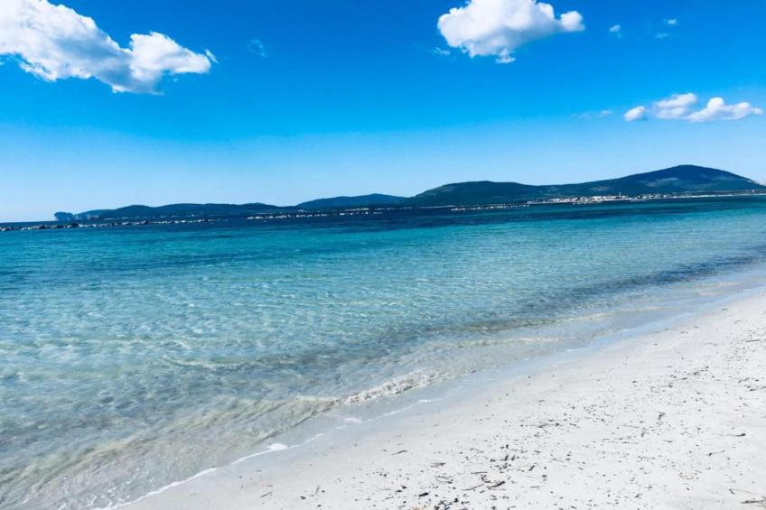 Beato Enrico - foto 35