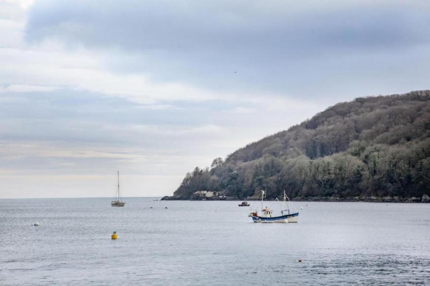 April Cottage, Cawsand - foto 16