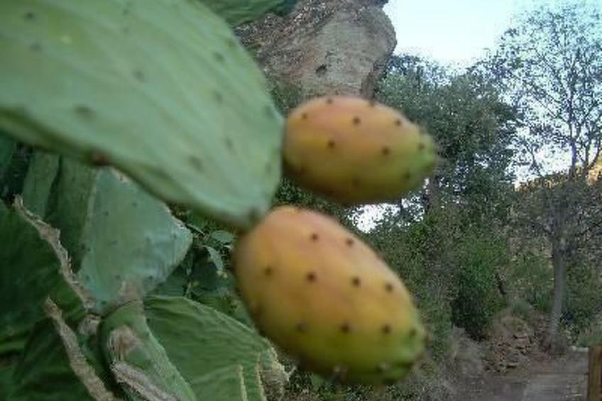 Das Upside Down House mit Whirlpool-Badewanne - foto 19