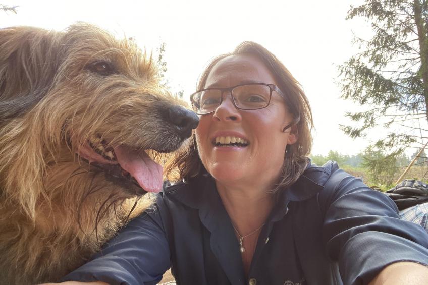 mit Parkplatz und Terrasse - foto 10