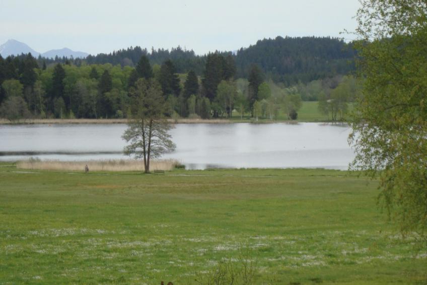 Dachgeschosswohnung mit toller Aussicht vom Balkon - foto 10
