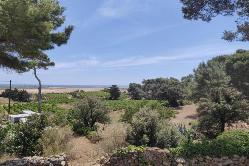 La Dune N°56 - VILLA 3P6 - foto 36