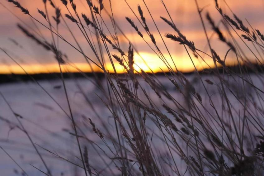 Holzhaus Andi - foto 35