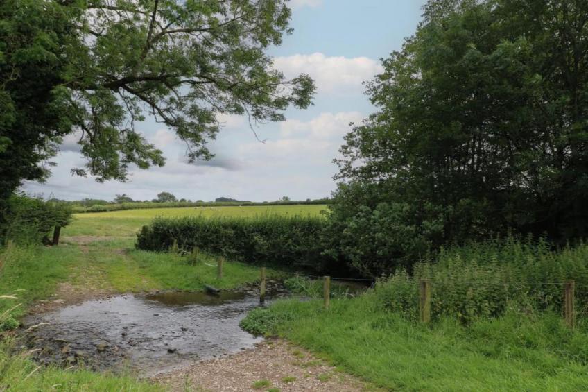 The Pig Barn - foto 27