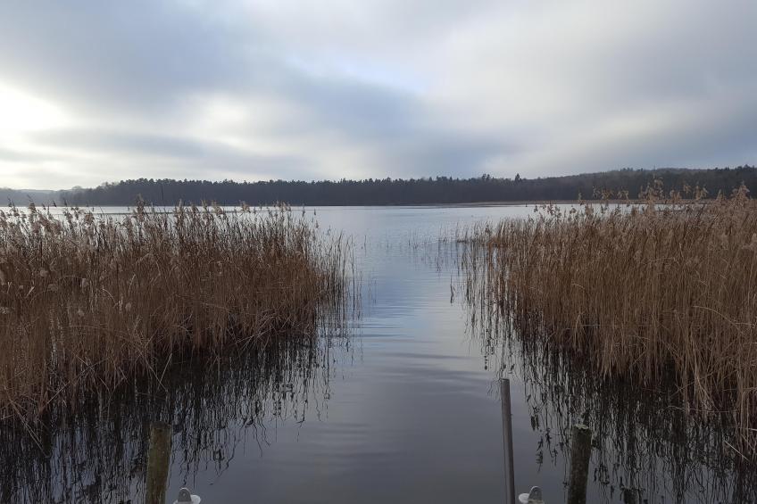 Hafendorf 2-bedroom apartment 4 guest - foto 35