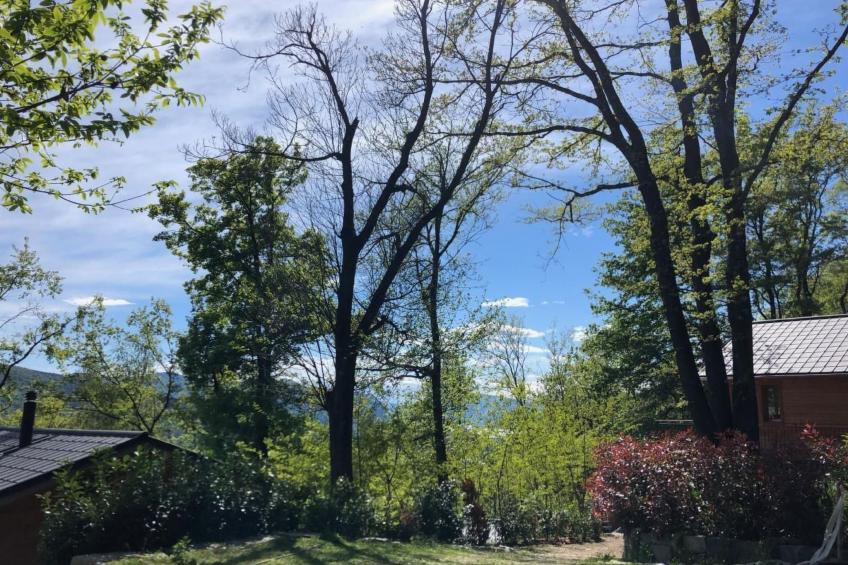 La Romantica - foto 24