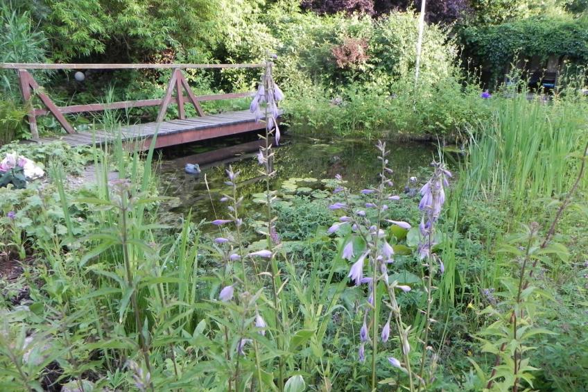 Zwei-Zimmer-Wohnung mit Wintergarten - foto 9