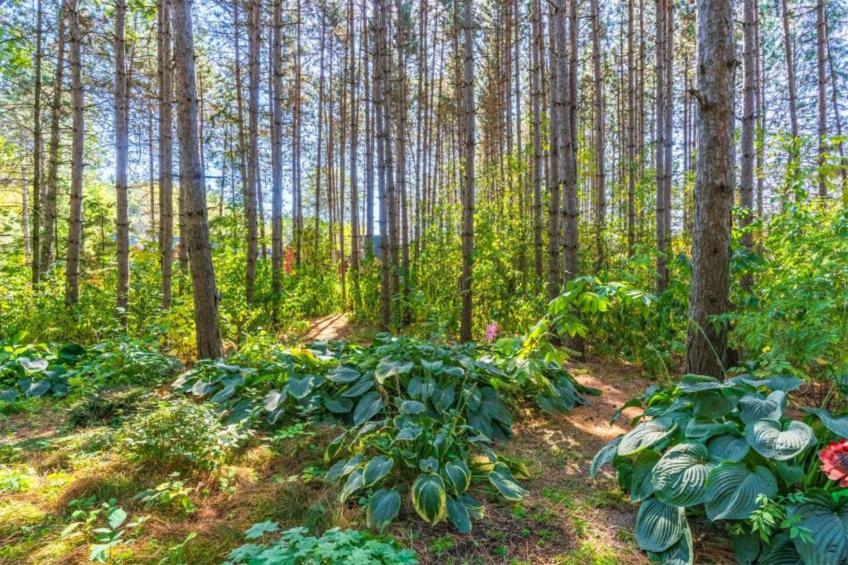 Ferienwohnung Jünkerath - foto 33